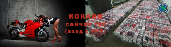 ПСИЛОЦИБИНОВЫЕ ГРИБЫ Карталы