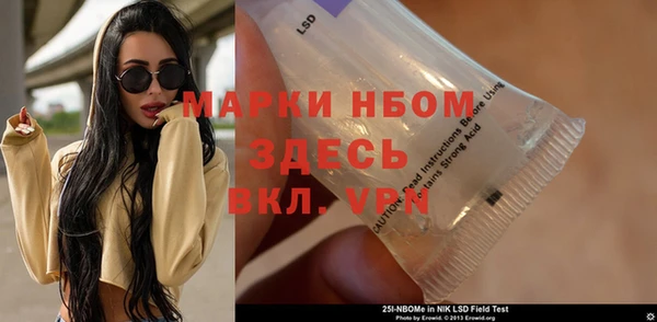 ПСИЛОЦИБИНОВЫЕ ГРИБЫ Карталы