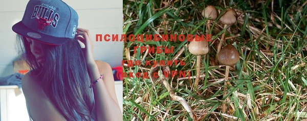 прущая мука Касимов