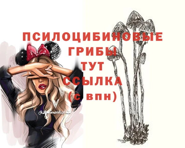 кокаин премиум Карпинск
