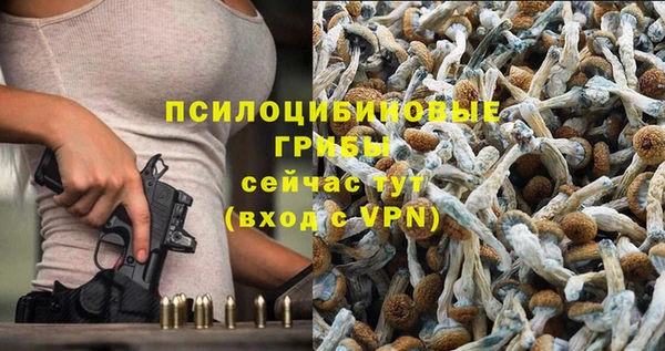 кокаин премиум Карпинск