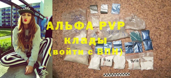 ПСИЛОЦИБИНОВЫЕ ГРИБЫ Карталы