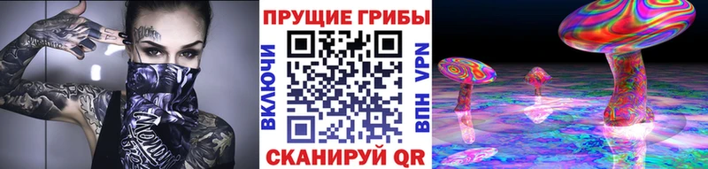 купить наркоту  Брюховецкая  Псилоцибиновые грибы прущие грибы 